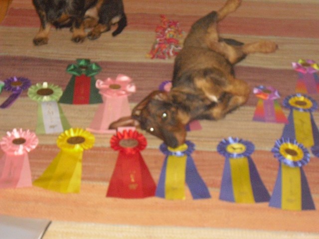 Utställning Ekerö 132