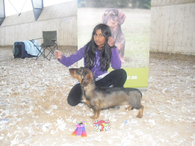 Utställning Ekerö Juila och mollie Rosett