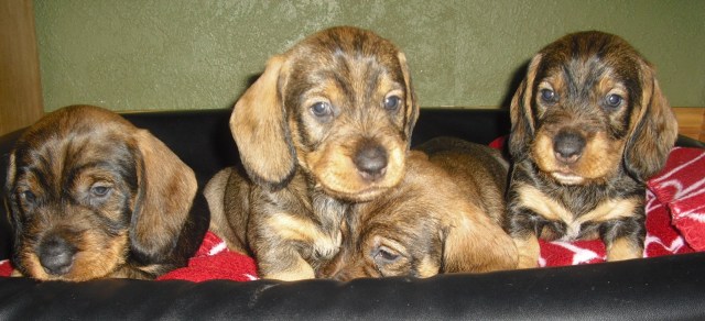 2013-04-08 001_liten