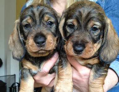 2013-04-11 026_valpar