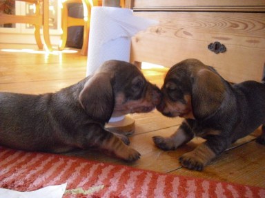 Fån cameran 2013-03 098 - Copy