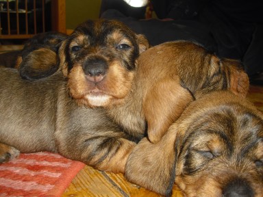 Fån cameran 2013-03 113