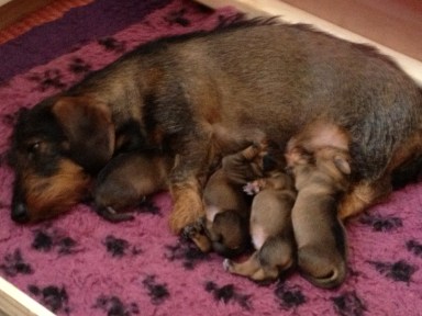 IPhone Mars 2013 107